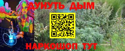 молекула духа Можайск