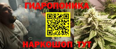 молекула духа Можайск