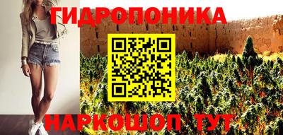 спиды Можга