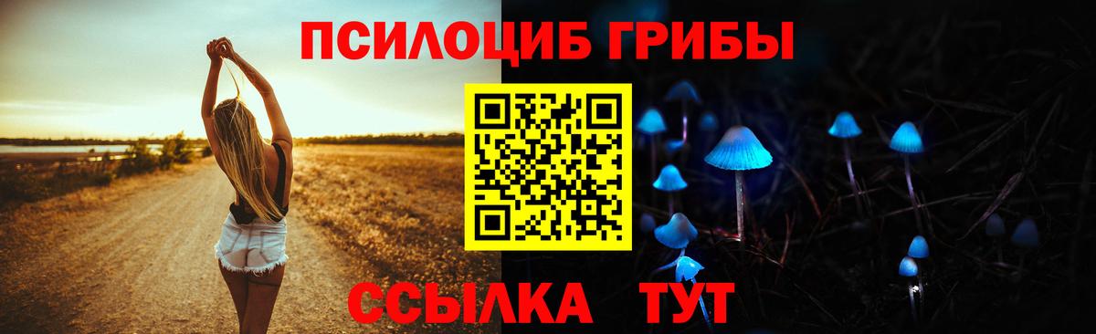 Псилоцибиновые грибы MAGIC MUSHROOMS  Вход с VPN  Галлюциногенные грибы мицелий  Хасавюрт 