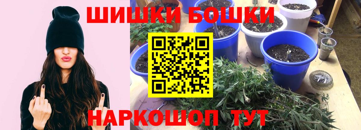 Бошки Шишки гибрид Хасавюрт
